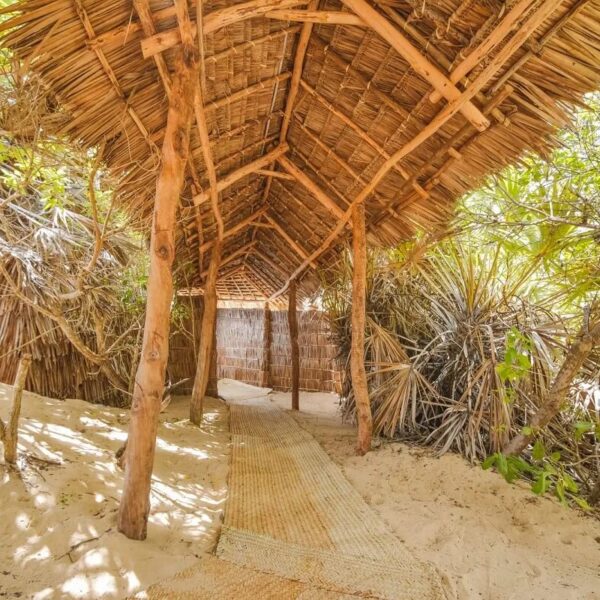 Kizingo Eco lodge walkaway