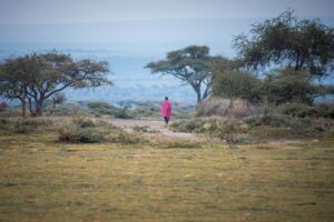 Silole Conservancy