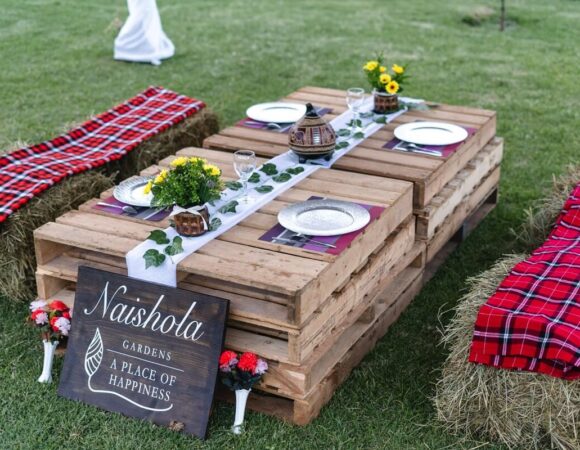 Potluck Picnic Noir at Naiposha Gardens