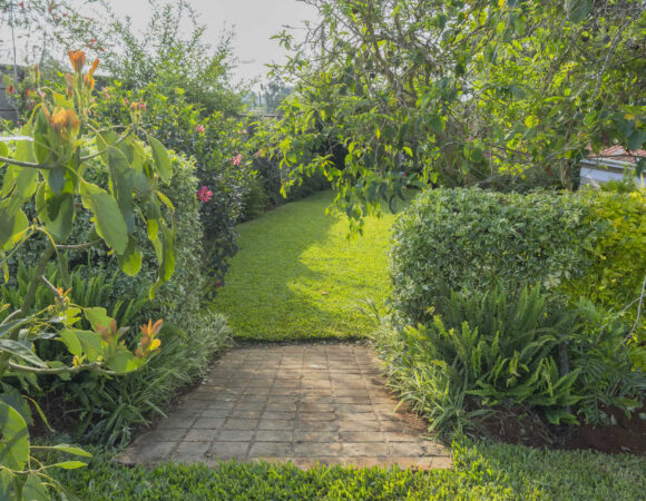 Laughter is the Language of Sisters at Tea crest Farmstead