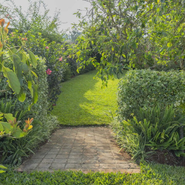 Tea Crest Farm stead at Mundoro, Kiambu